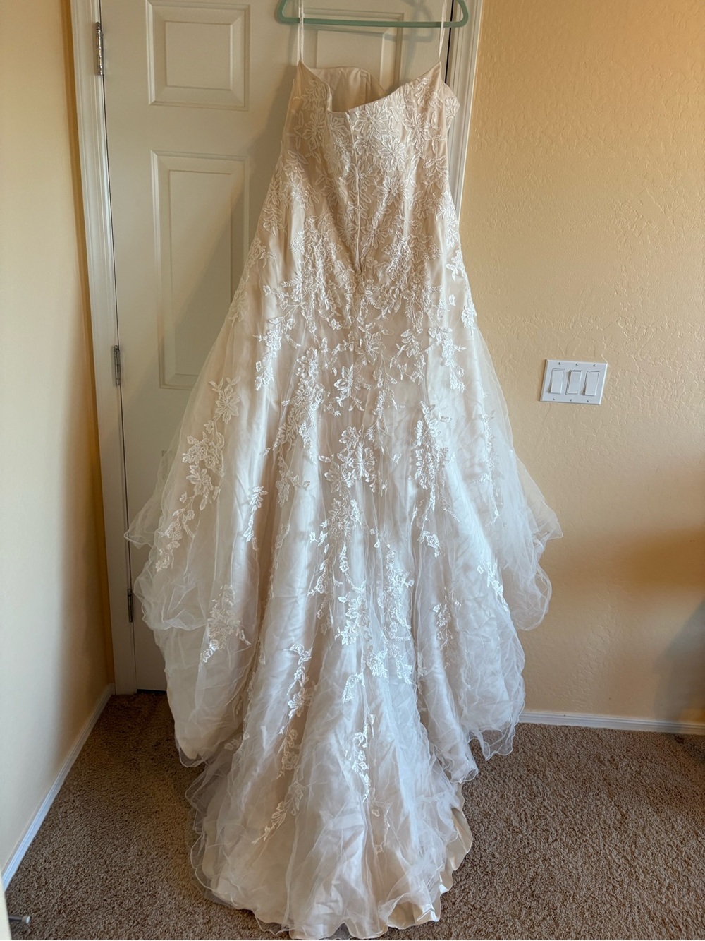 David's Bridal Ivory/Champagne Bridal Gown - Picture 5 of 11